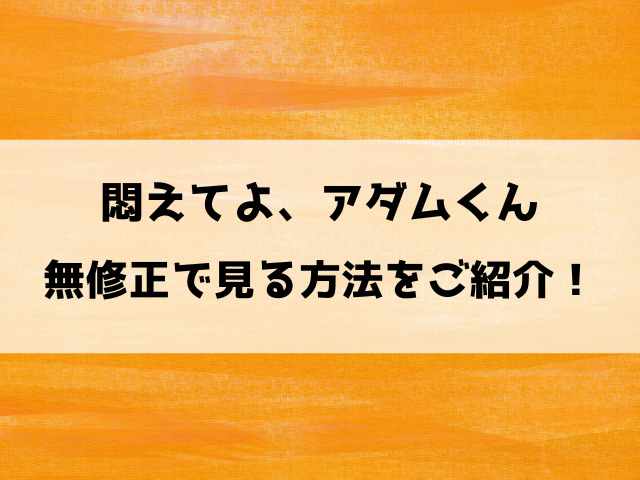 悶えてよ、アダムくん無修正はどこで見れる？プレミアム版と通常版の違いもご紹介！